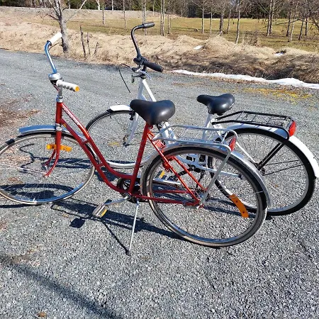 Apteekkarinmoekki * Forssa