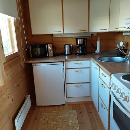 Apteekkarinmoekki * Forssa