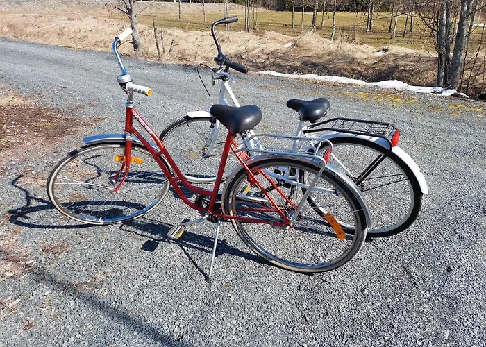 Apteekkarinmoekki * Forssa